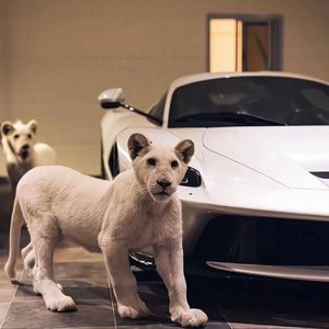 日本熟妇毛茸茸丰满
