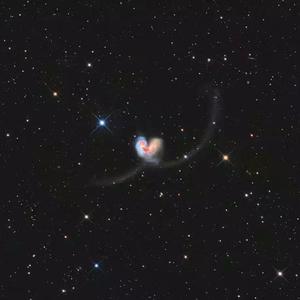 日本熟妇毛茸茸丰满
